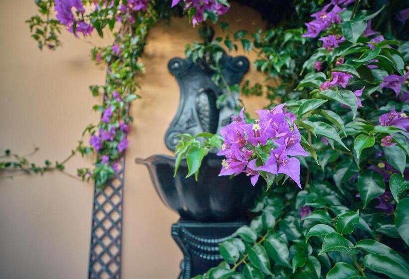 בית מלון כפרי Silver Coast Beach Residence