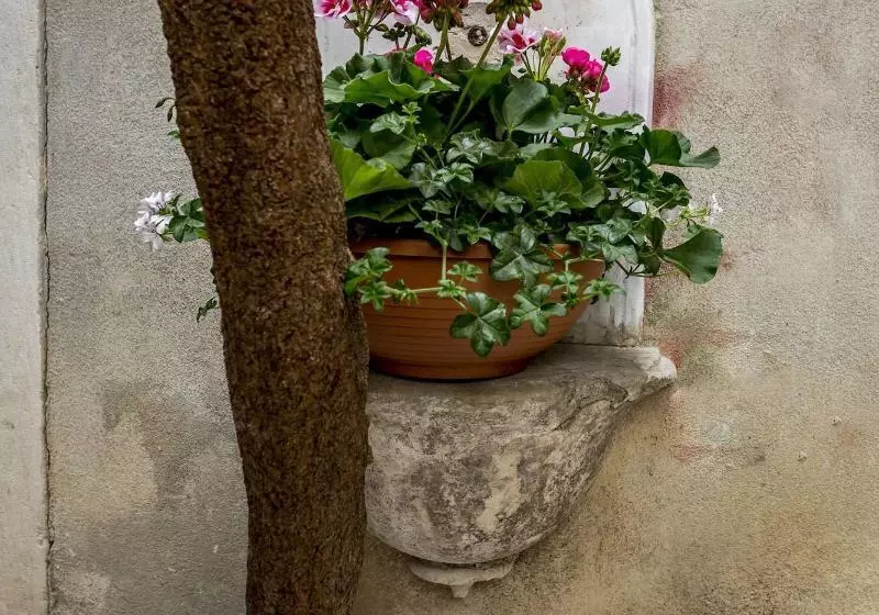 پانسیون Centro Di Centri Rooms