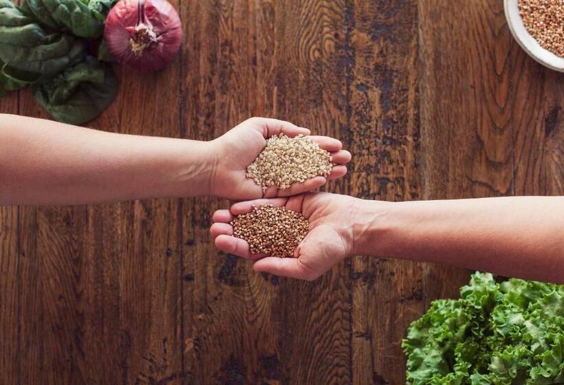 리조트 Masqi, The Energy House