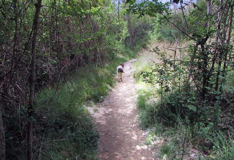 리조트 Masqi, The Energy House