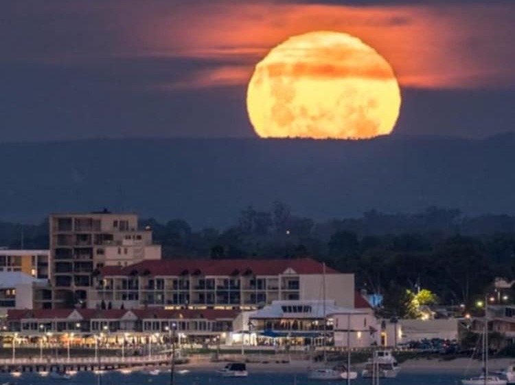 ベッドアンドブレックファースト Palm Beach Guest House