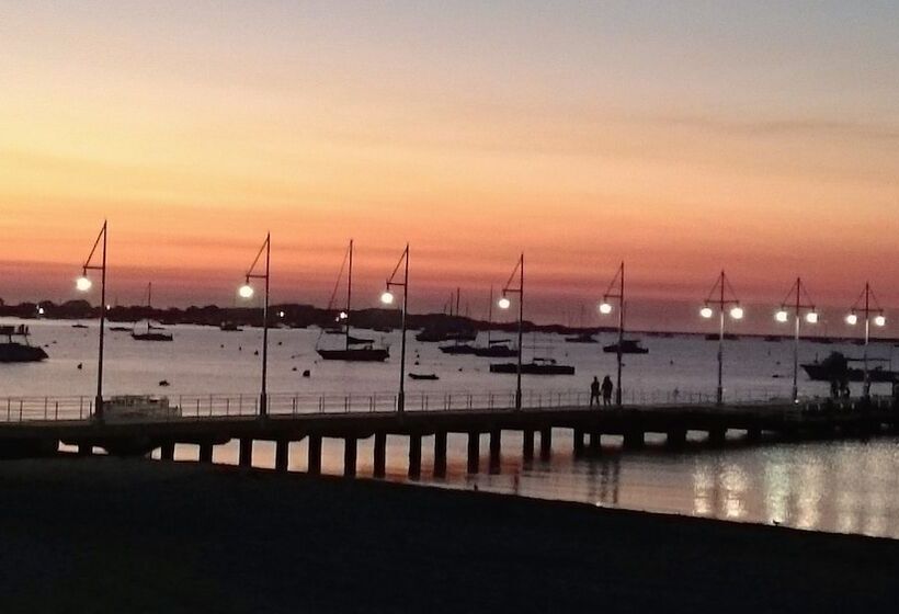 ベッドアンドブレックファースト Palm Beach Guest House