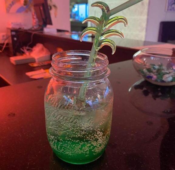 ホテル Dodo Beach Club Adults Only