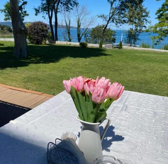 ホテル Dodo Beach Club Adults Only