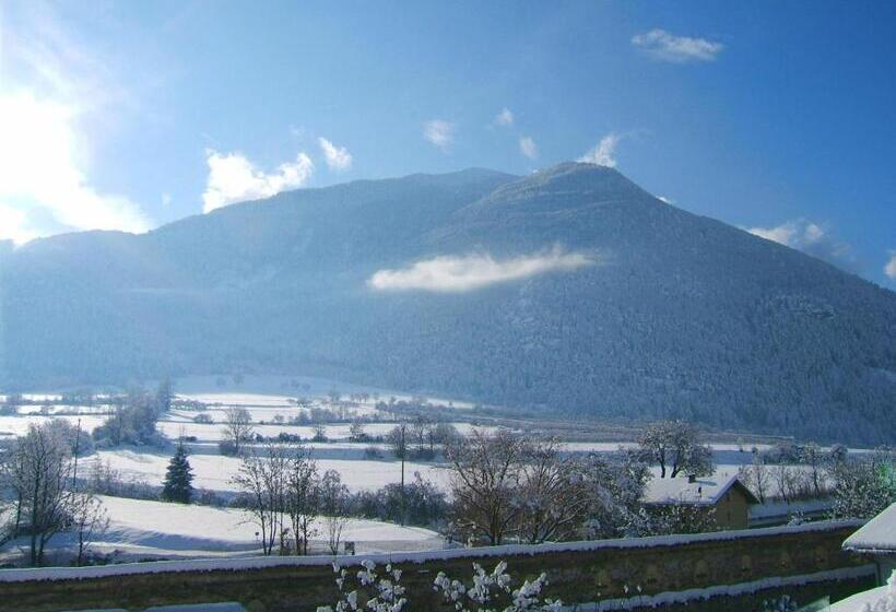 ホテル Gasthof Grüner Baum