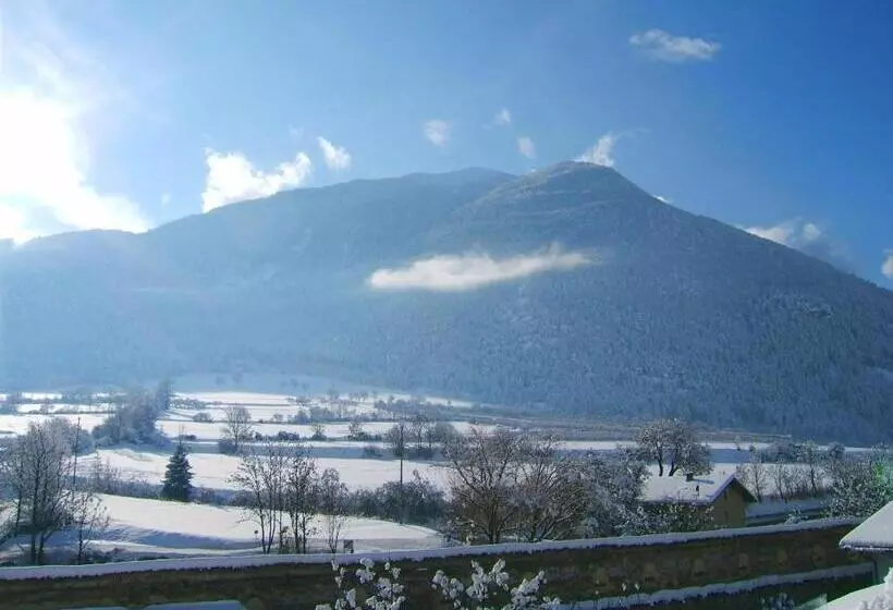 Hotelli Gasthof Grüner Baum