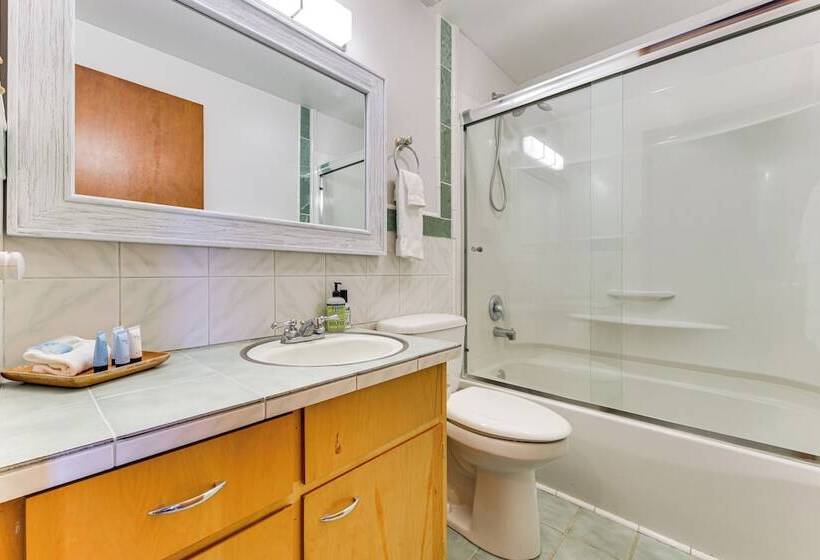 Beachfront Anderson Island Escape: Rainier Views!