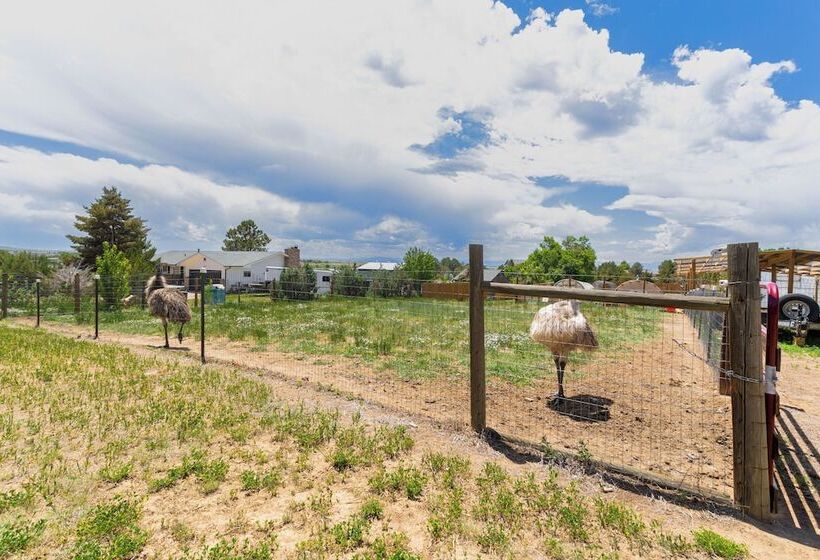 Stylish Aurora Farmhouse W/ Deck, Animals On Site!