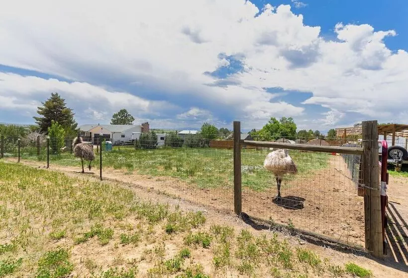 Stylish Aurora Farmhouse W/ Deck, Animals On Site!