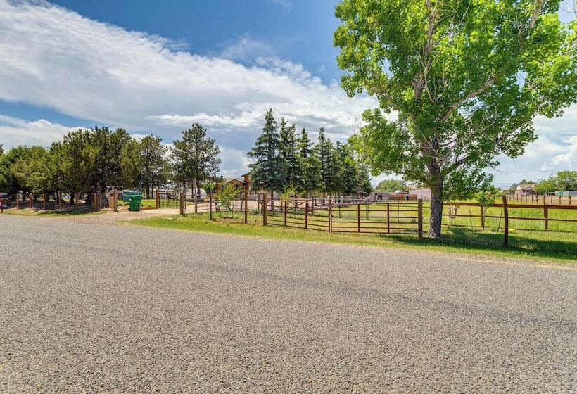 Stylish Aurora Farmhouse W/ Deck, Animals On Site!