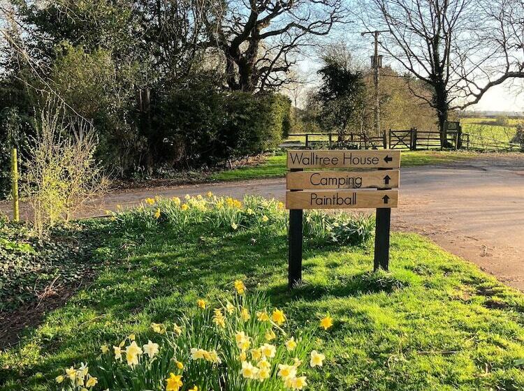 Walltree House Glamping Cozy Glamping Experience