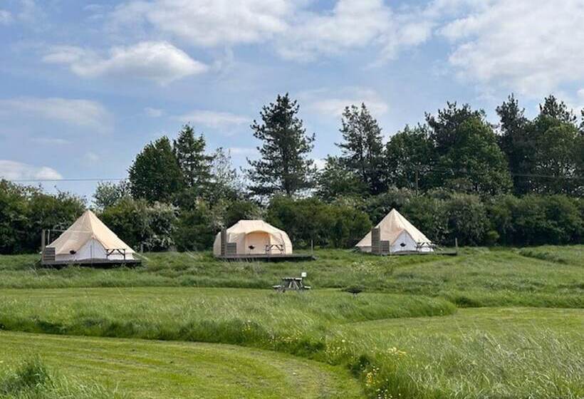 Walltree House Glamping Cozy Glamping Experience