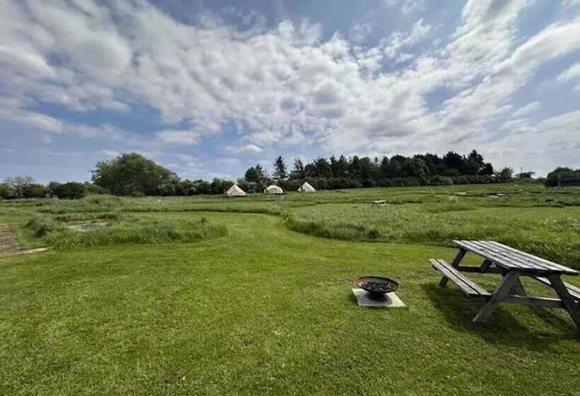 Walltree House Glamping   Cozy Glamping Experience