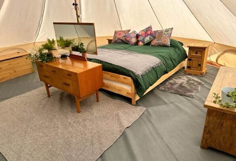 Walltree House Glamping Cozy Glamping Experience