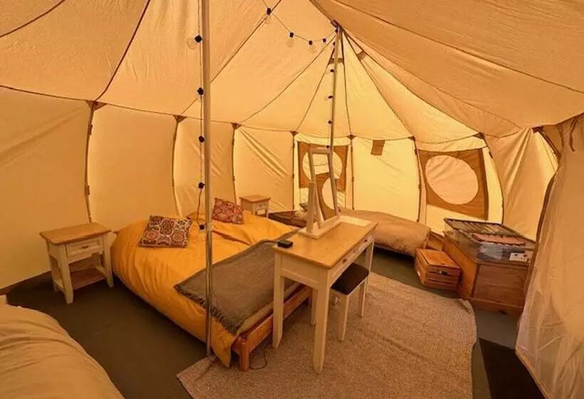 Walltree House Glamping   Cozy Glamping Experience