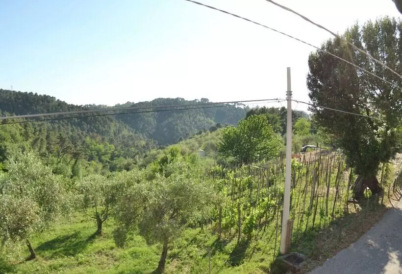 Casale On The Hills Between Lucca And The Sea, With Garden And Swimming Pool