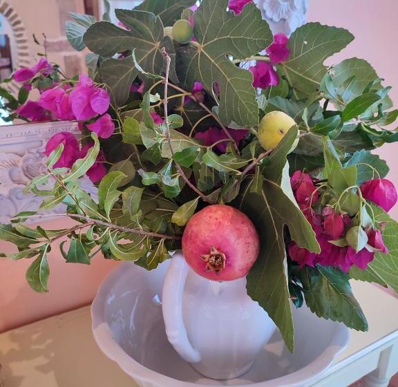 בית מלון כפרי Archontiko Art