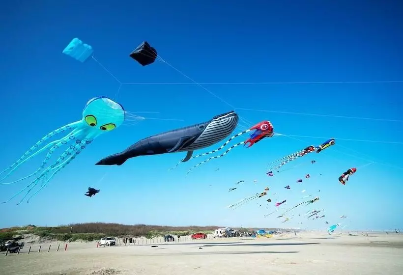 Priv Pool, Walk To Marina + Eateries, 3 Mins To Beach Marlin Azul By Avantstay