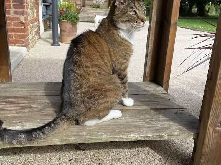 Majatalo Aux Ecuries Du Château