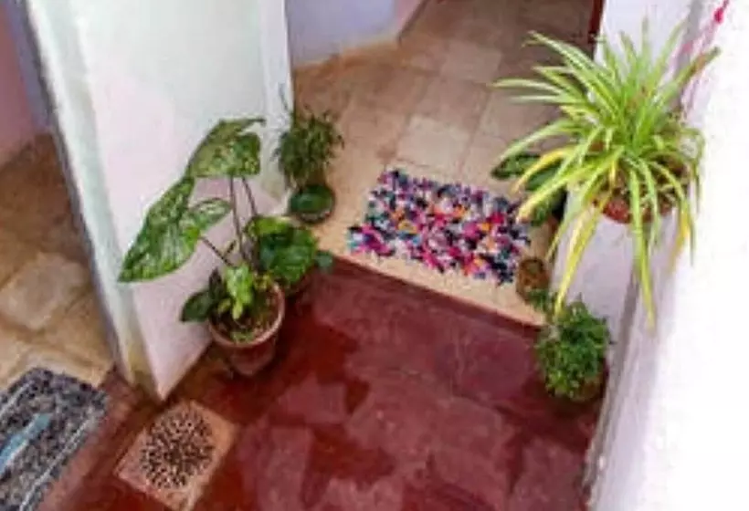 پانسیون Hostal Leidi Diana Trinidad
