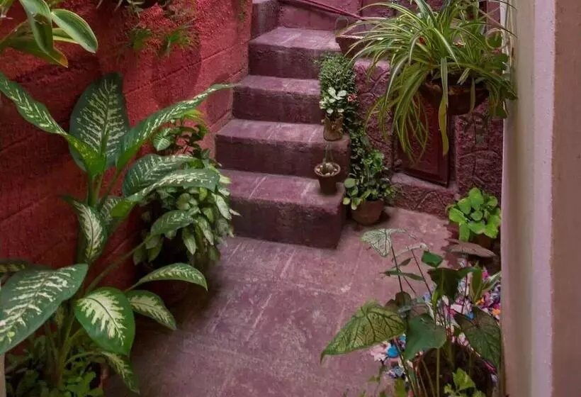 پانسیون Hostal Leidi Diana Trinidad