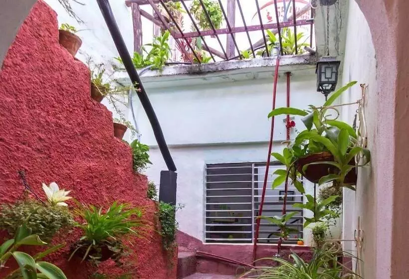 پانسیون Hostal Leidi Diana Trinidad