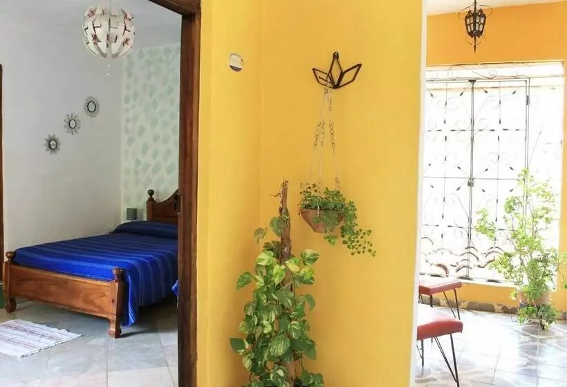 پانسیون Hostal Norma Y Humberto Trinidad