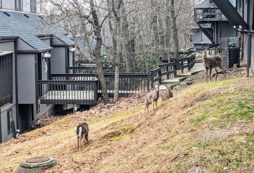 Slope Lodge Prime Skiing Location Indoor Pool, Hot Tub, Sauna Private Deck