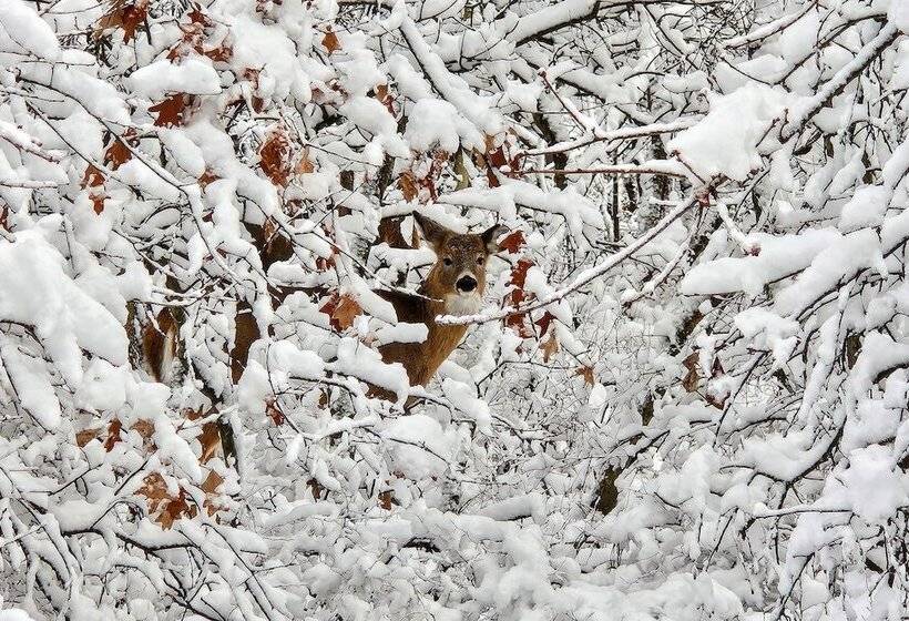 Strawberry Shores By Avantstay Lakefront Private Beach