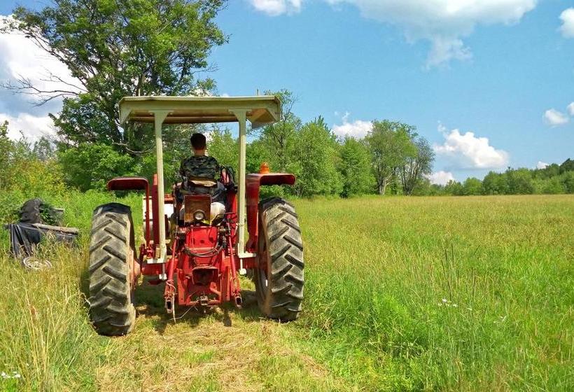 住宿加早餐 Yesterday Farm