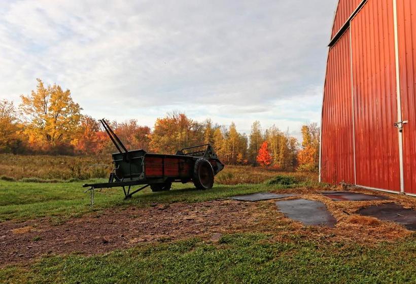 住宿加早餐 Yesterday Farm
