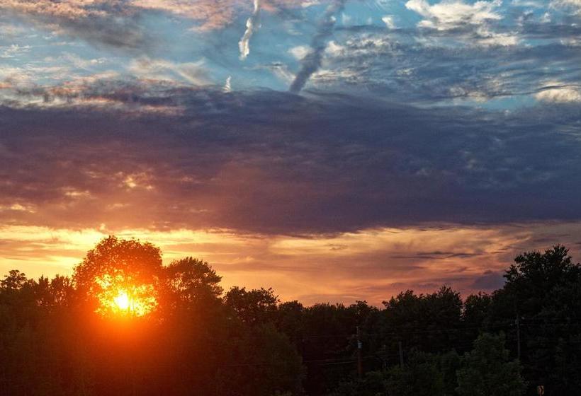 住宿加早餐 Yesterday Farm