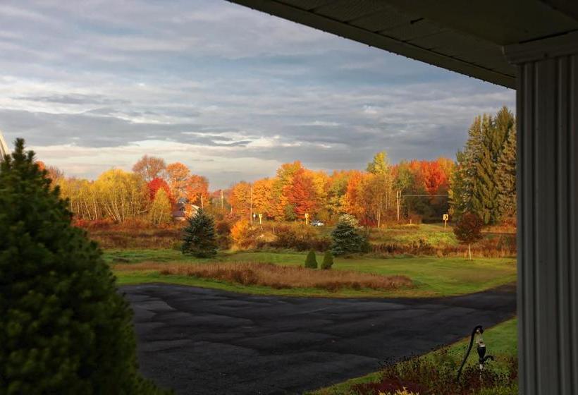 住宿加早餐 Yesterday Farm