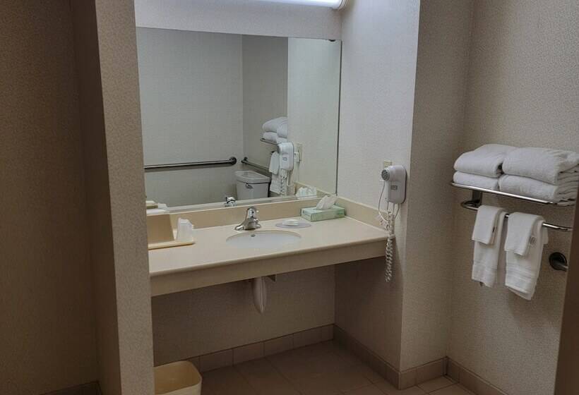 בית מלון כפרי Budget Inn San Leandro