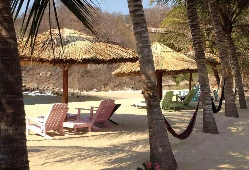 ホテル Casa Luna Playa