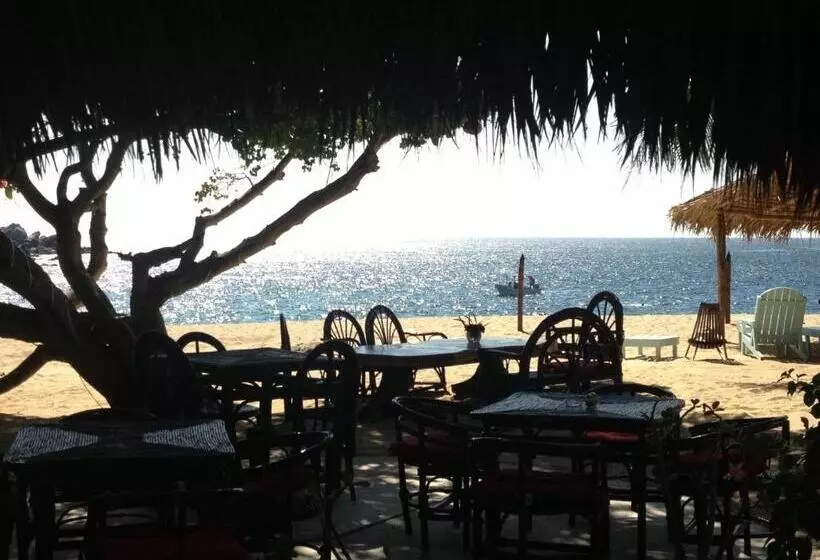 ホテル Casa Luna Playa