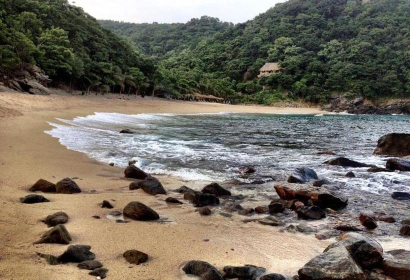 ホテル Casa Luna Playa