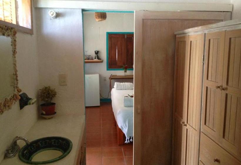 ホテル Casa Luna Playa