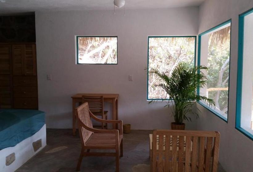 ホテル Casa Luna Playa