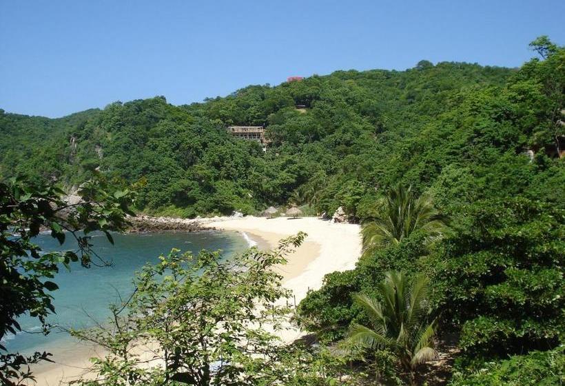 ホテル Casa Luna Playa