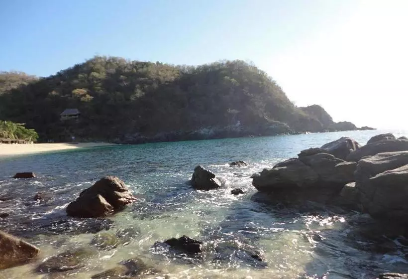 ホテル Casa Luna Playa