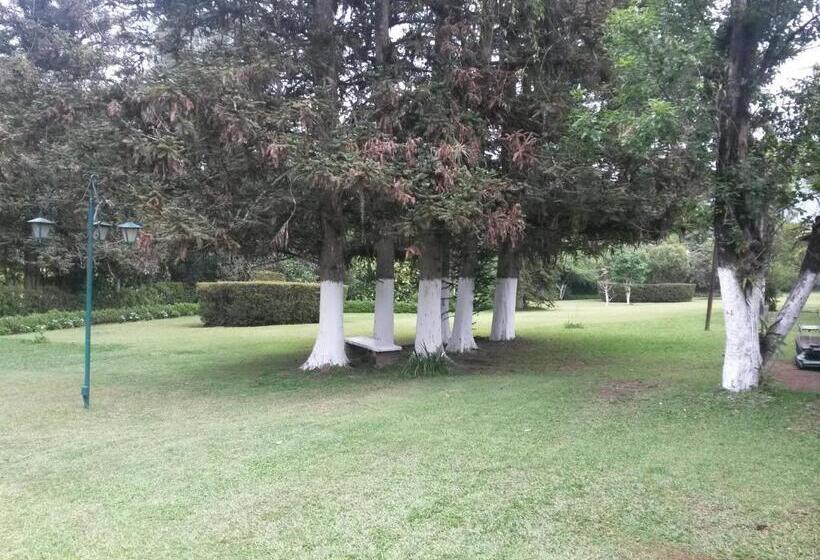 فندق Mi Ranchito