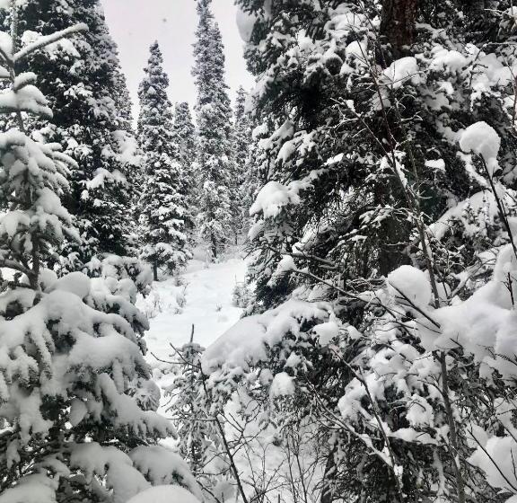 モーテル Aurora Denali Lodge