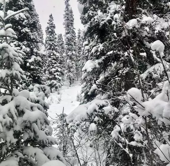 モーテル Aurora Denali Lodge