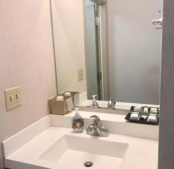 モーテル Aurora Denali Lodge