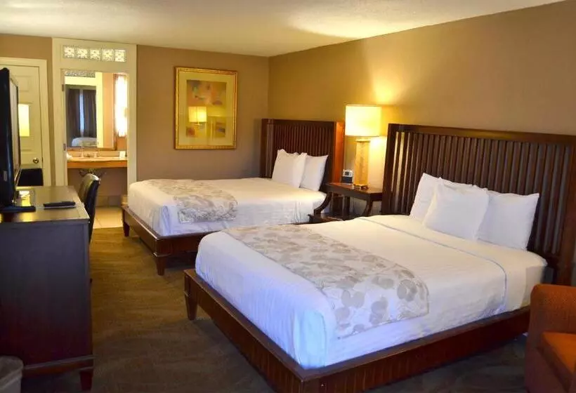 モーテル Cascades Inn