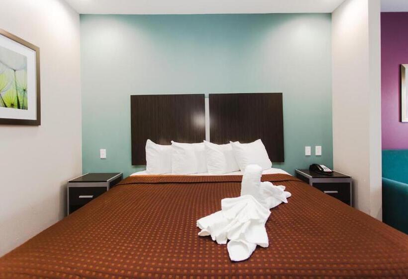 מוטל Express Inn  Spring