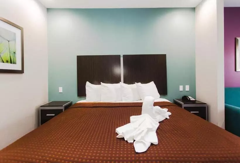 Motel Express Inn  Spring