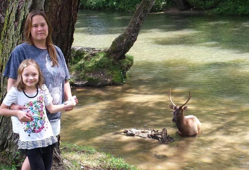 Мотель Two Rivers Lodge