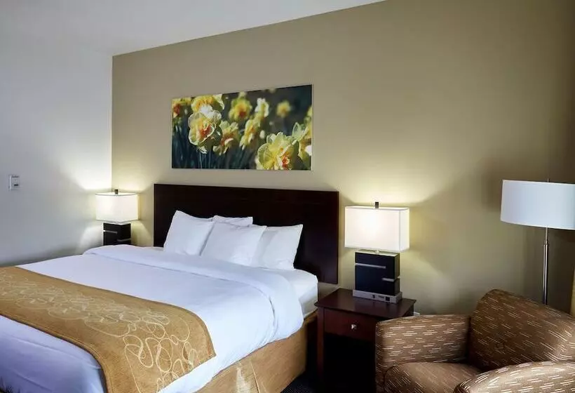 ホテル Ornl Guest House